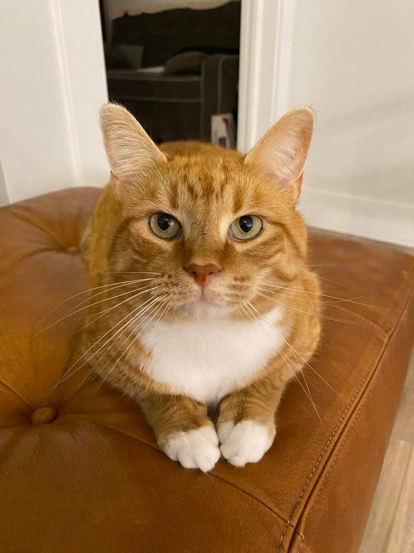 melvin